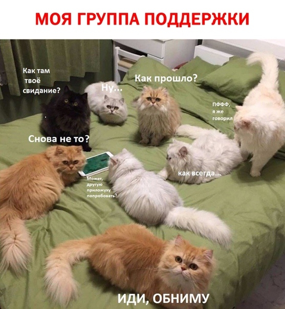 Картинки и мемы для настроения 15.06.2021