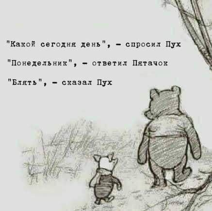 Весёлый полтишок 12.07
