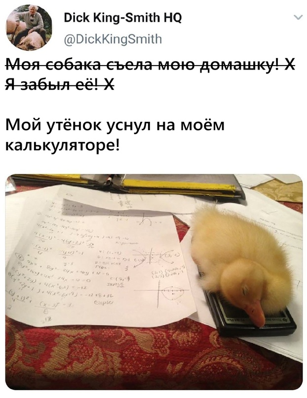Весёлый полтишок 14.07