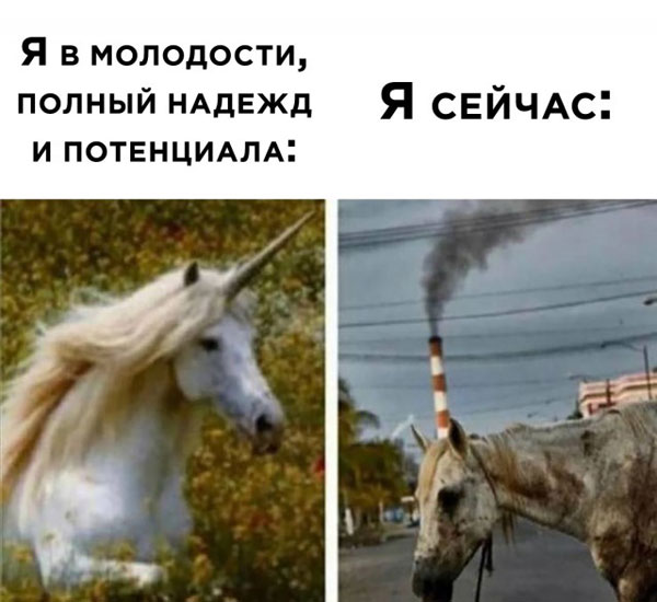 Так себе картинки 18.07.21