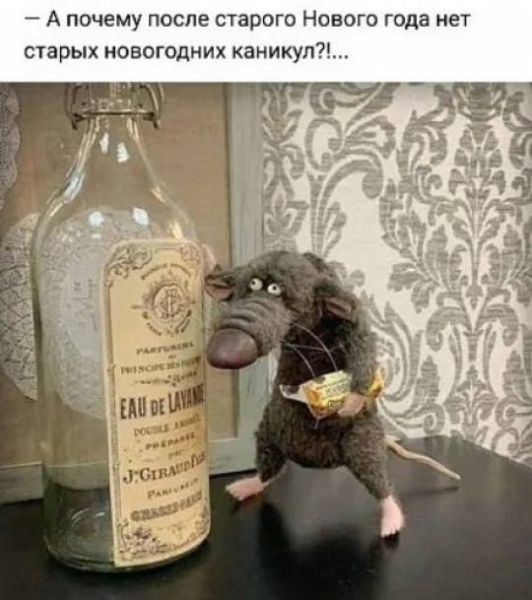 Весёлый полтишок 31.12