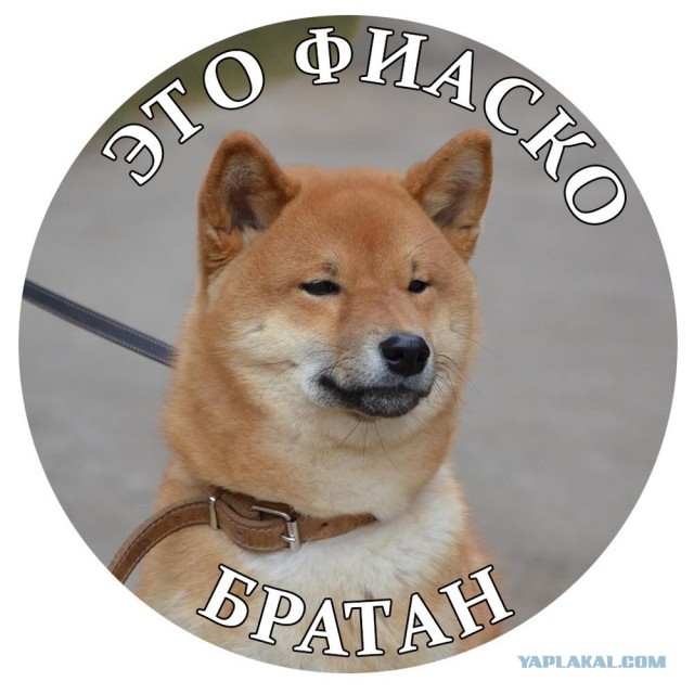 Как намекнуть женщине, что у меня большой х..?