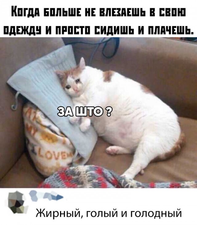 Картинки и мемы для настроения - 17