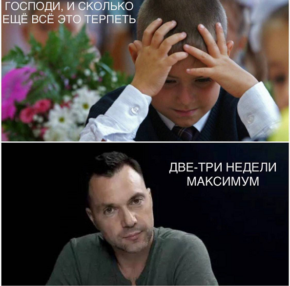 Пандемия съехавших крыш - разновидности болезни. Россия и мир. Часть 41.