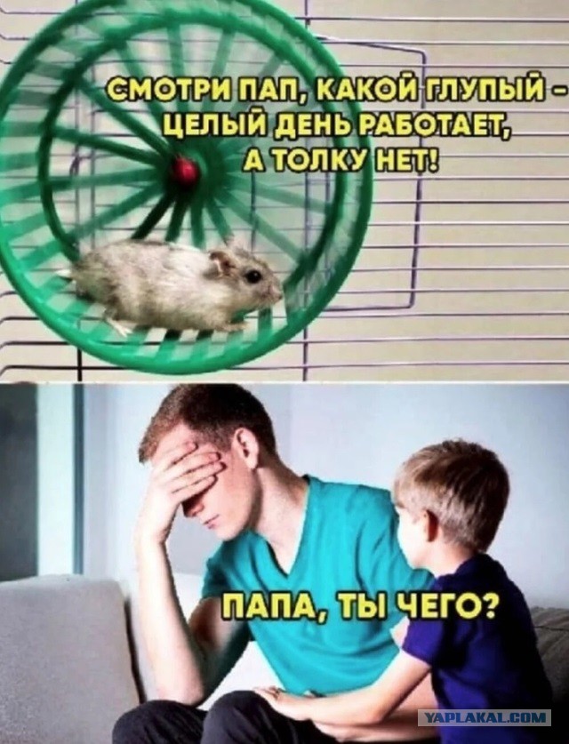 Уже просто интересно стало как на самом деле было с тётей-волшебницей, мышами-кучерами, тыквой-каретой и со всем остальным...