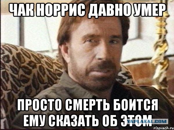 Чак Норрис