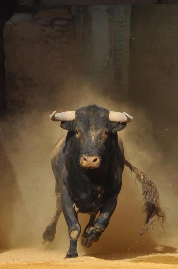 Просто фотографии