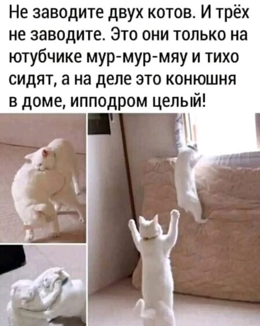 Так себе картинки 24.05.24