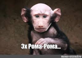 Самолёт «Аэрофлота» Дубай — Москва пришлось экстренно сажать в Баку из-за дебошира в салоне
