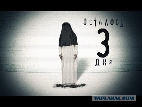 Американские букмекеры уже начали принимать ставки на то, умрет ли Зеленский в течение ближайших 3 дней.