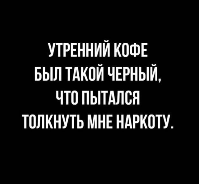 Весёлый полтишок 14.05.25.