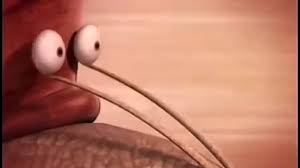 Черепахе показали как ускориться