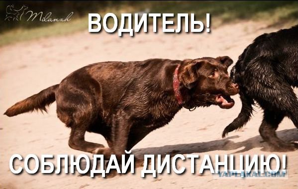 Чё только не придумывают.