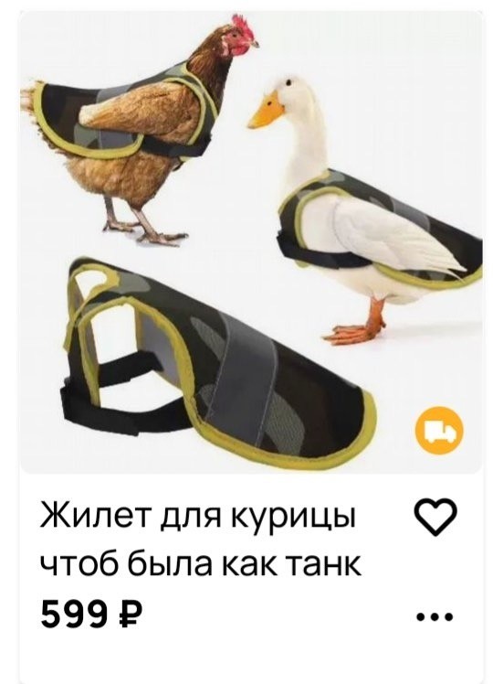 Картинки для деградации 49 (разной степени свежести)