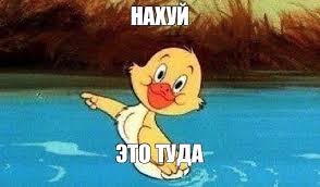 Прямая трансляция заседания ВС по делу Долиной (опрос)