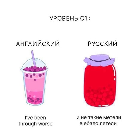 Мой кот