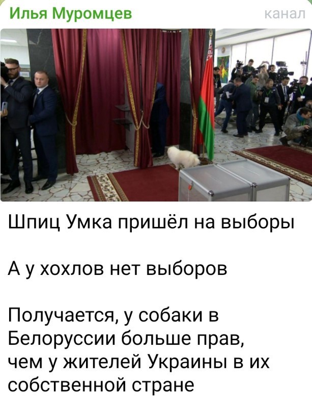 Украина резко активизировала контакты с белорусской оппозицией и перешла к более жёсткой линии в отношении Минска