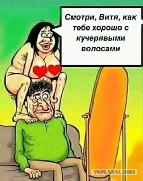 Пословицы про сиськи