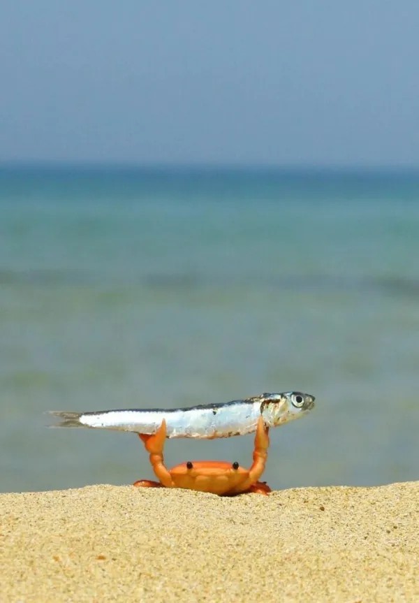 Забавные и интересные фото из Сети 23.04.26