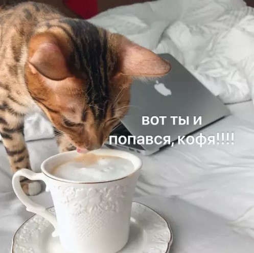 Картиночки, баянчики 30 апреля