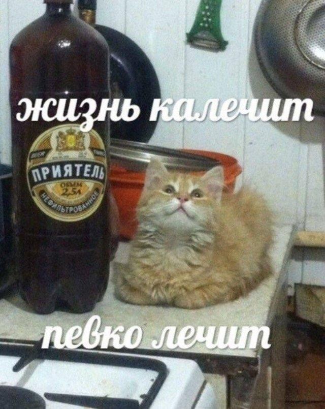 Картинки для настроения