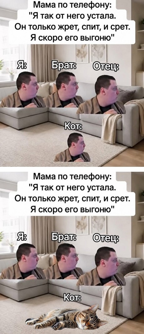 Картинки для деградации 236 (разной степени свежести)