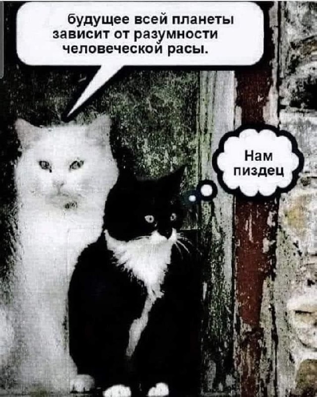 Картинки для деградации 273 (разной степени свежести)