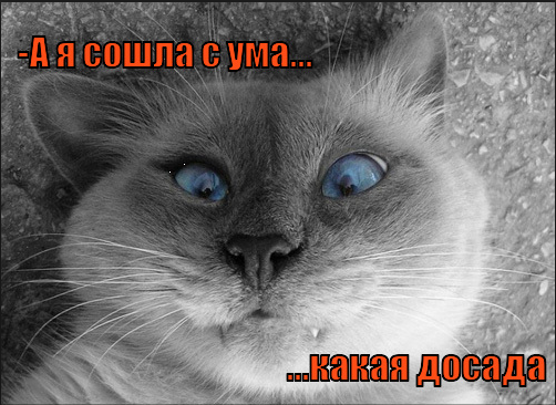 Древнее Китайское зло