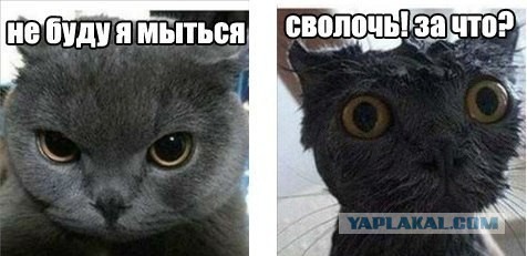 Ах ты ж Боже мой!