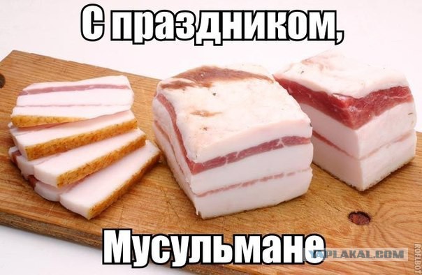 Очередная подборка смешных высказываний