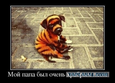 Потапыч и Собакен.