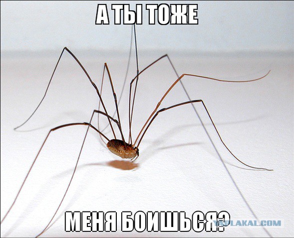 Страхи нашего детства