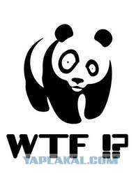 WTF?! Зоопарк!