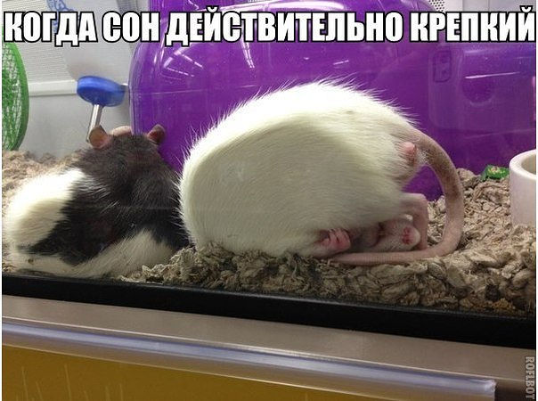 Веселые картинки.