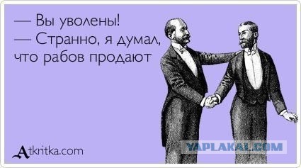 Подборка веселых картинок