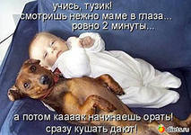 Cмешные баяны
