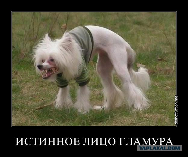 Налетай подешевело