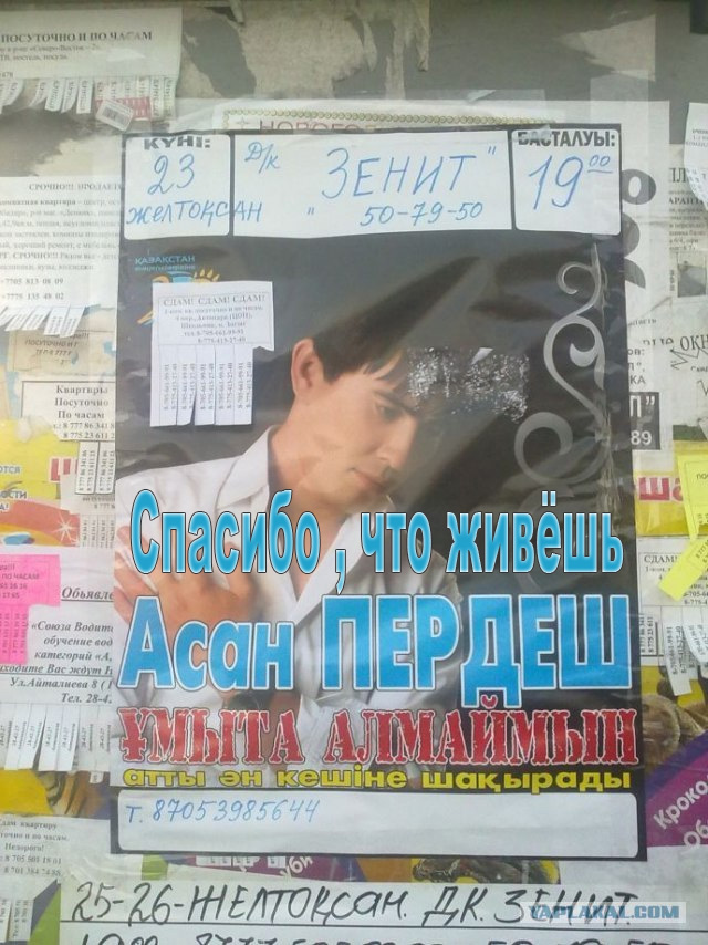 Кумир миллионов