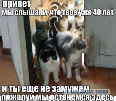 Как я попил кофе с РСП
