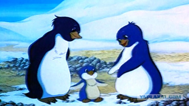 Пингвины — это ласточки, которые ели после шести.