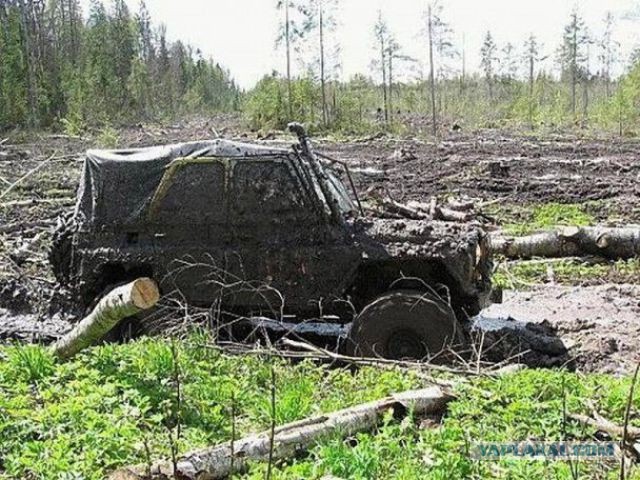 Только у нас в России