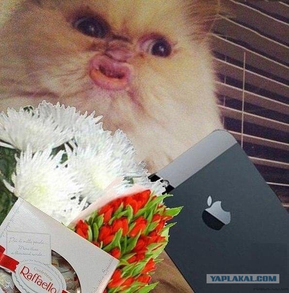 С международным вас женским днём.....