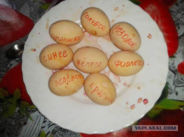 Круче только яйца