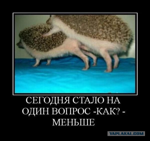 Теперь ты видел всё