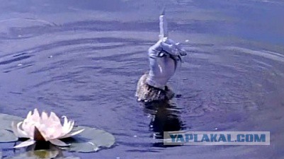 Яценюк сделал России последнее