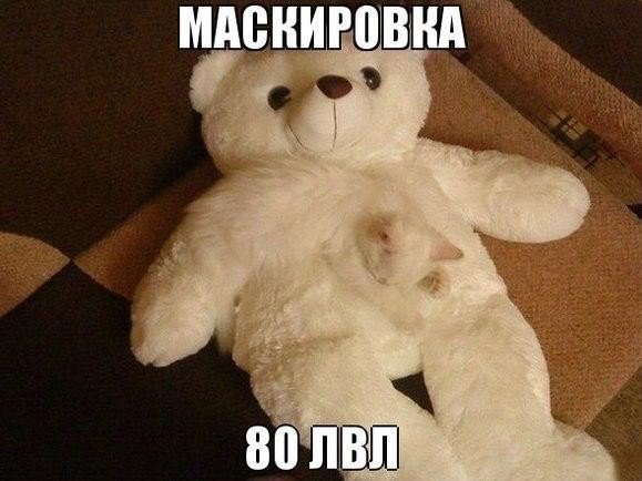 Подборка картинок