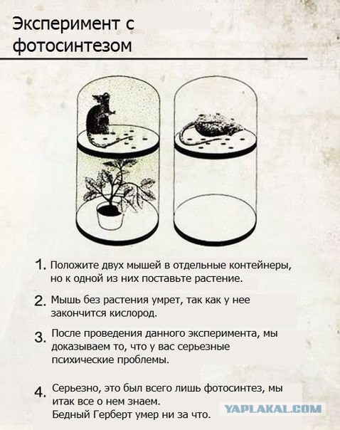 Картинки разные из сети