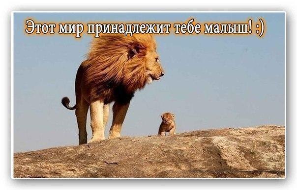А давайте улыбнёмся В Новом Году