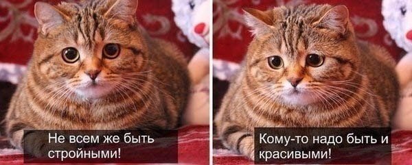 Всяко - разно...картинки