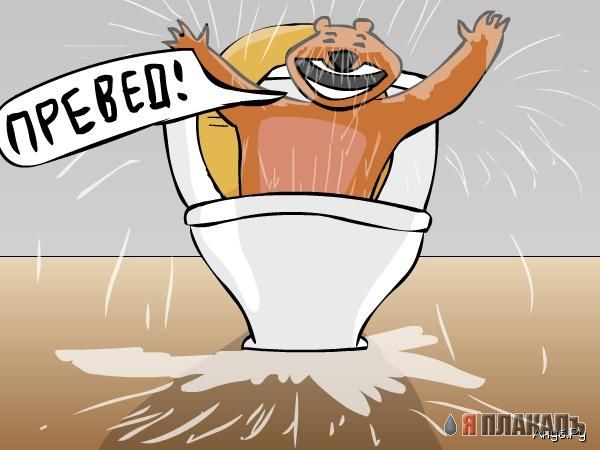 Превед медвед!